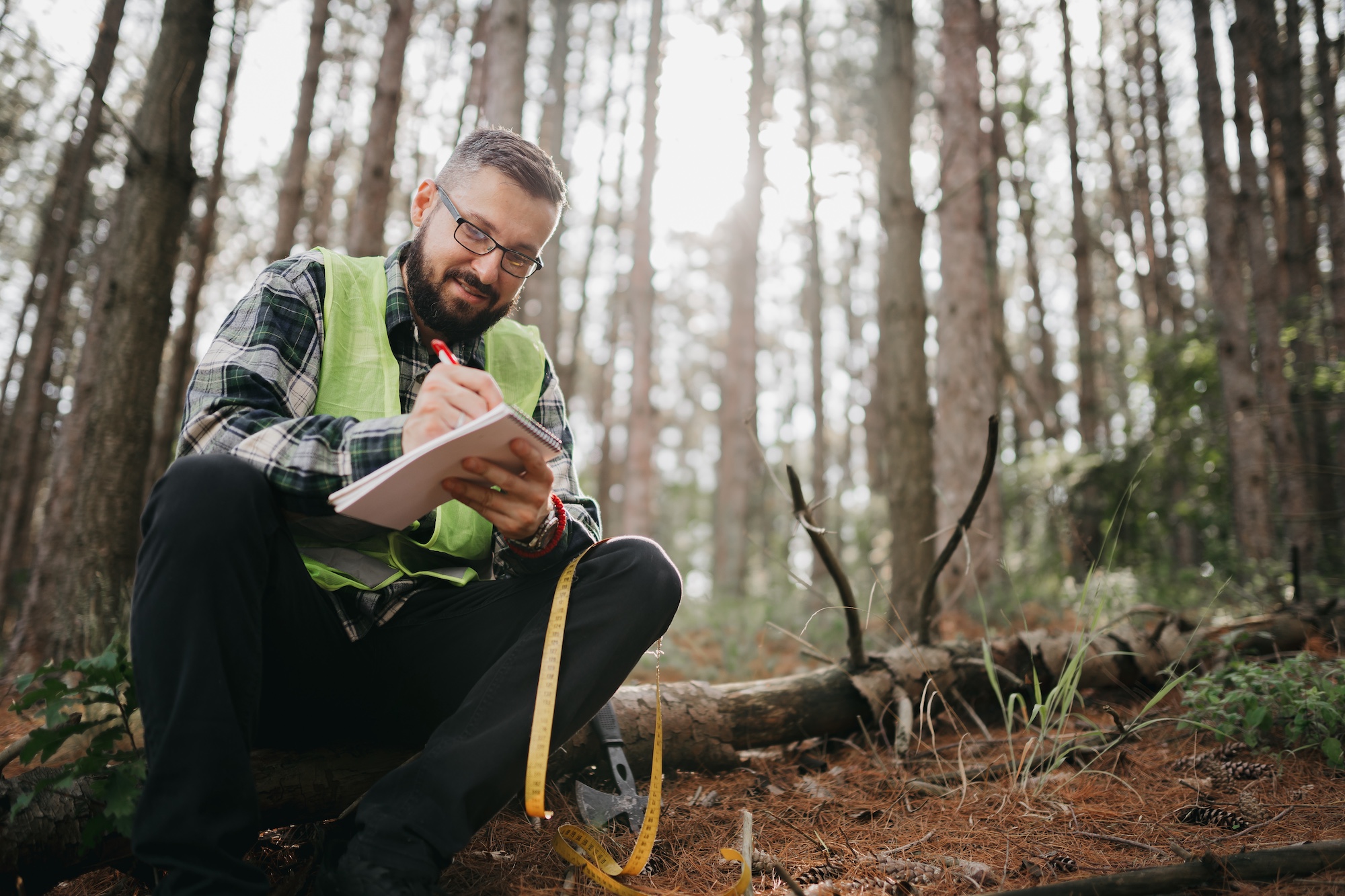 Man in a hi-vis vest taking a soil sample from the forest floor with the view of tall pine trees in the background.